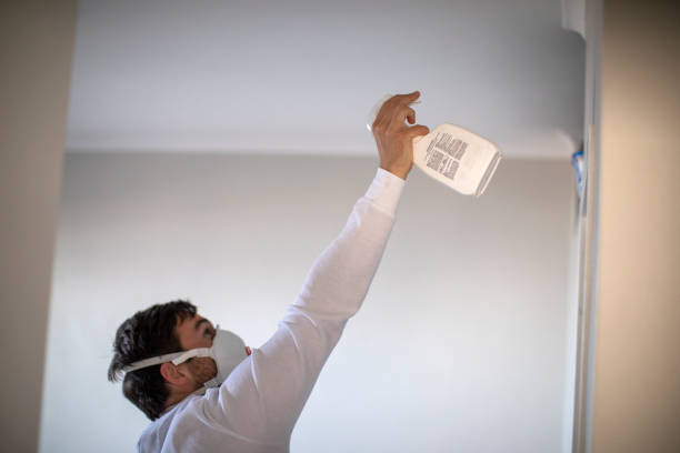 Best Commercial Mold Removal  in Maltby, WA