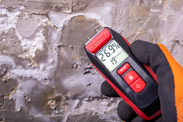 Best Crawl Space Mold Removal  in Maltby, WA