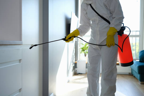 Best Toxic Mold Removal  in Maltby, WA