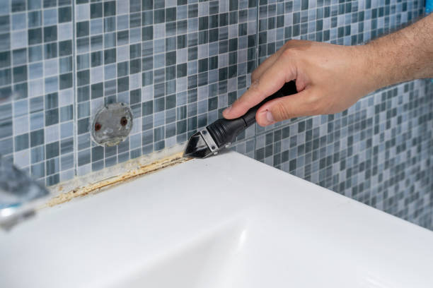 Mold Removal and Inspection in Maltby, WA