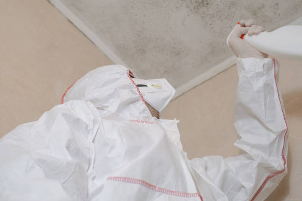 Best Certified Mold Removal  in Maltby, WA