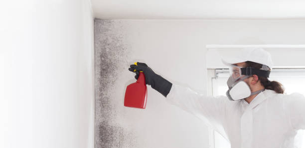 Best Crawl Space Mold Removal  in Maltby, WA