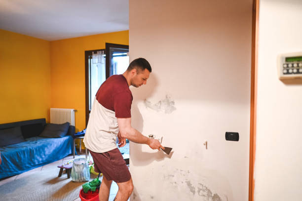 Best Black Mold Removal  in Maltby, WA
